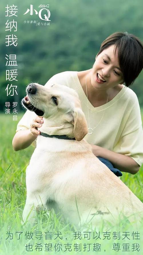 代办克莱顿州立大学成绩单